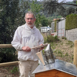 Mise en place d'une ruche pédagogique