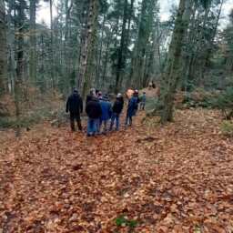 Plan de sauvegarde de la forêt - Visite sur place avec les spécialistes - ONF - INRAE