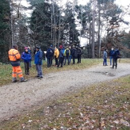 Plan de sauvegarde de la forêt - Visite sur place avec les spécialistes - ONF - INRAE