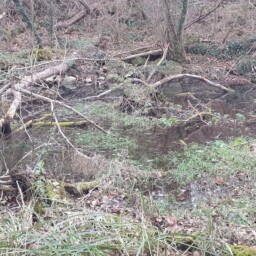 Projet de réhabilitation de la zone humide du Lac de Moyssac