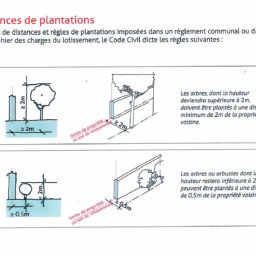 Urbanisme : distances des plantations