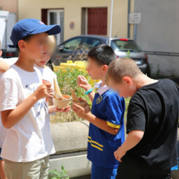 Atelier glaces dans les cantines