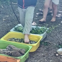 20260606_102318