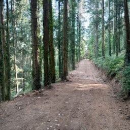 Piste 2_page-0001