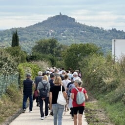 IMG_1293